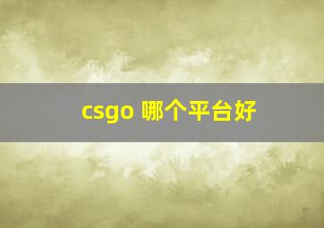 csgo 哪个平台好